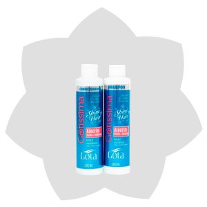 Kit Shampoo Y Acondicionador Gotisima Shine Hair 300 ml